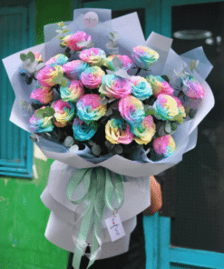 hoa sáp cầu vòng