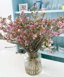 Hoa Tết thanh liễu