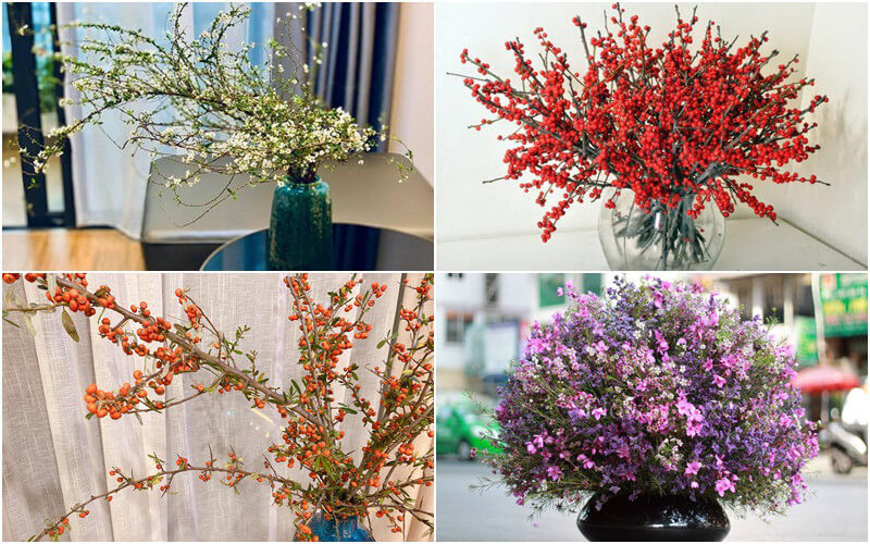 Hoa Tết thanh liễu