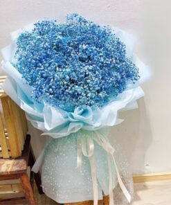 hoa tình yêu baby blue
