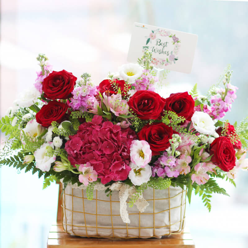 Creamy Rose Lẵng hoa phi yến