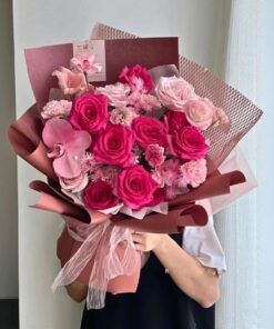 Vẻ đẹp của màu sắc hoa hồng