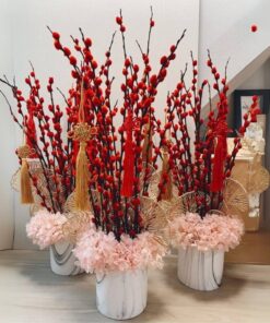 Chậu hoa tầm xuân đẹp rực rỡ, khoe sắc phù hợp với không khí ngày tết