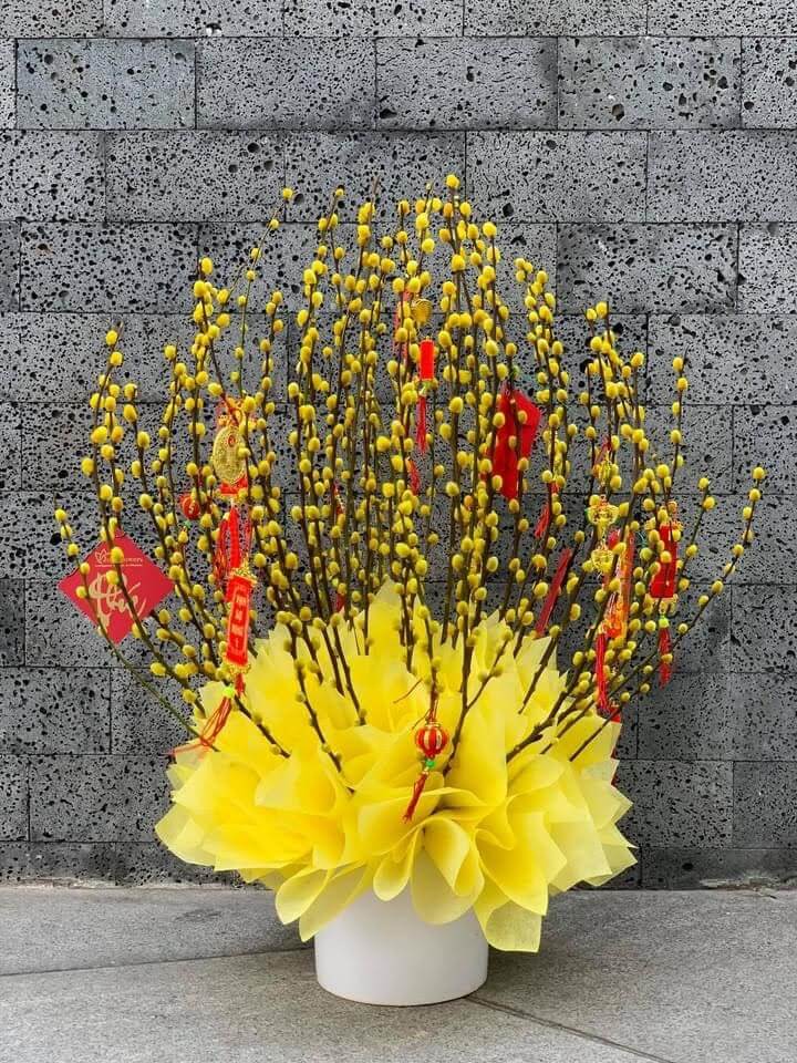 Chậu hoa tầm xuân đẹp 03