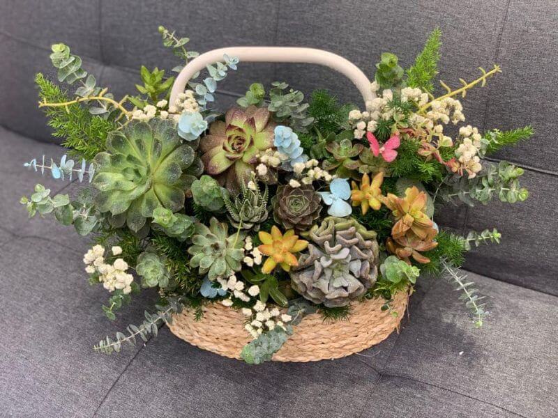 Giỏ lẵng hoa sen đá