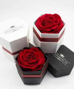 hộp hoa 1 bông 00