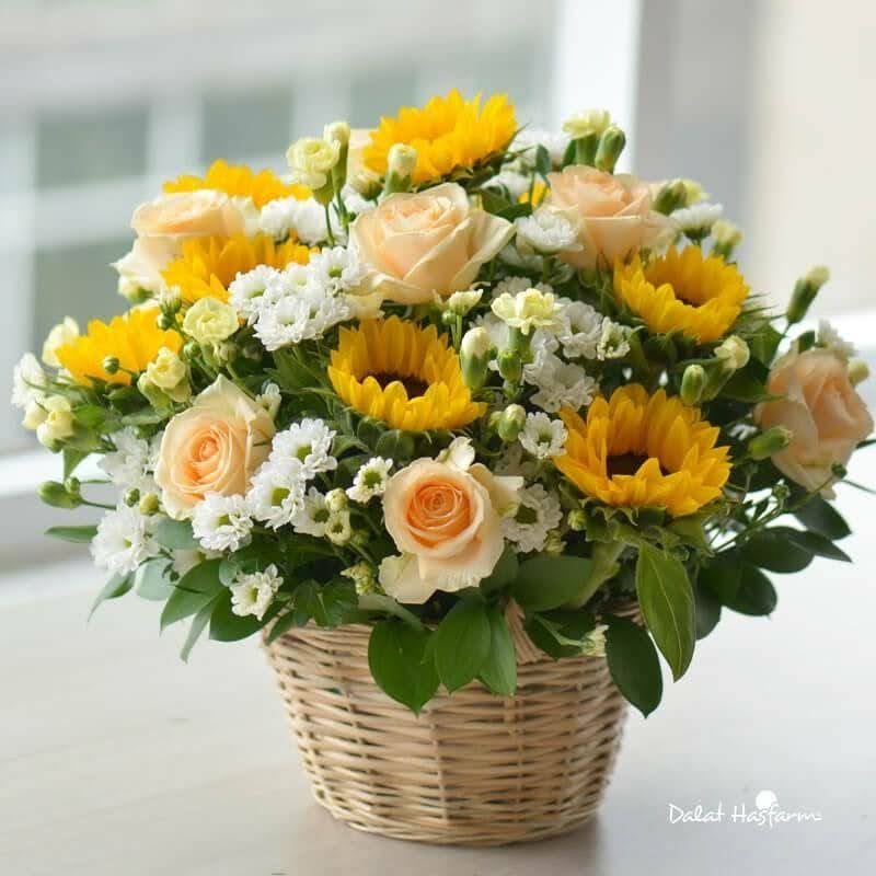 hộp hoa hướng dương 05