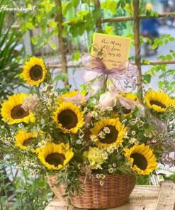 Mua chậu hoa hướng dương 01