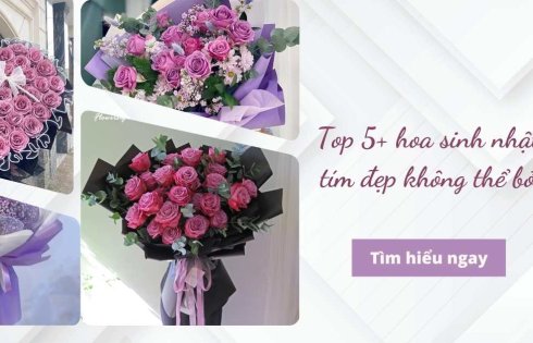 Top 5+ hoa sinh nhật màu tím đẹp không thể bỏ qua
