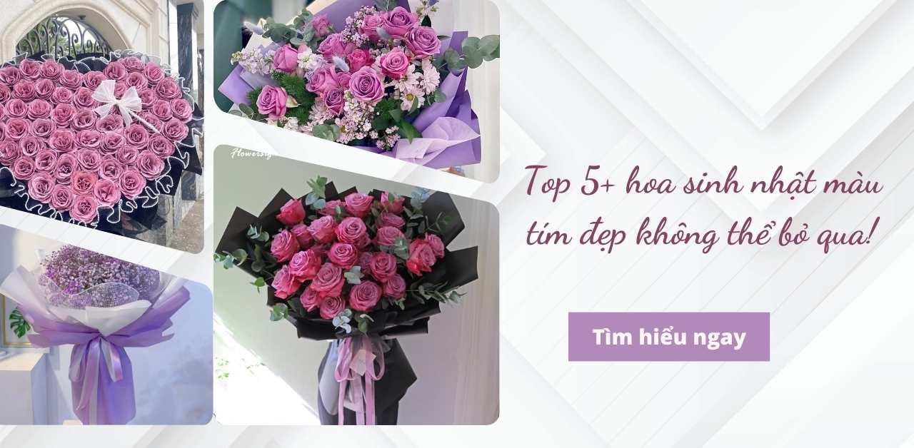Top 5+ hoa sinh nhật màu tím đẹp không thể bỏ qua
