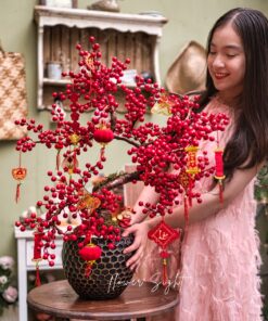 Bình đào đông bon sai The moon