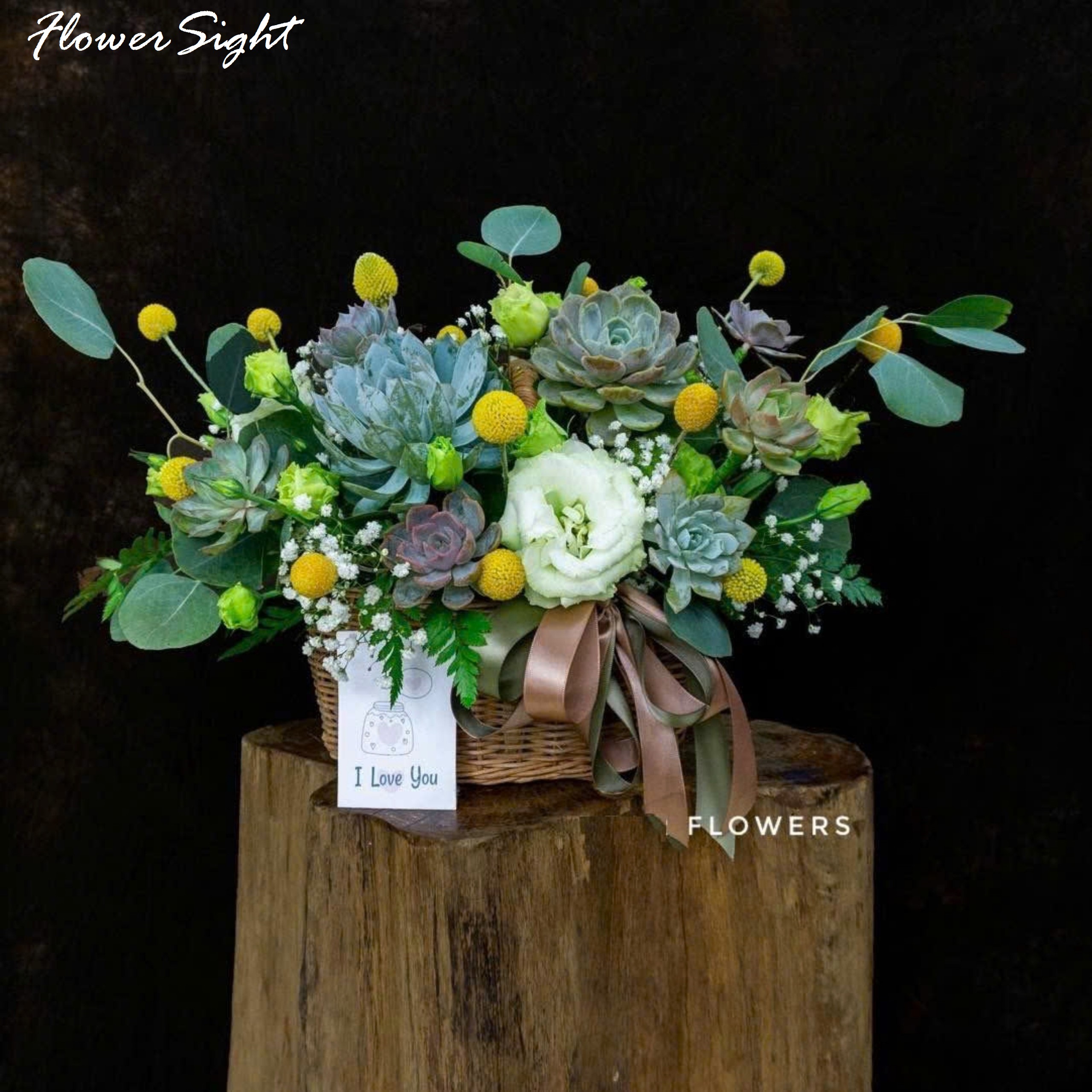 Giỏ hoa sen đá mini