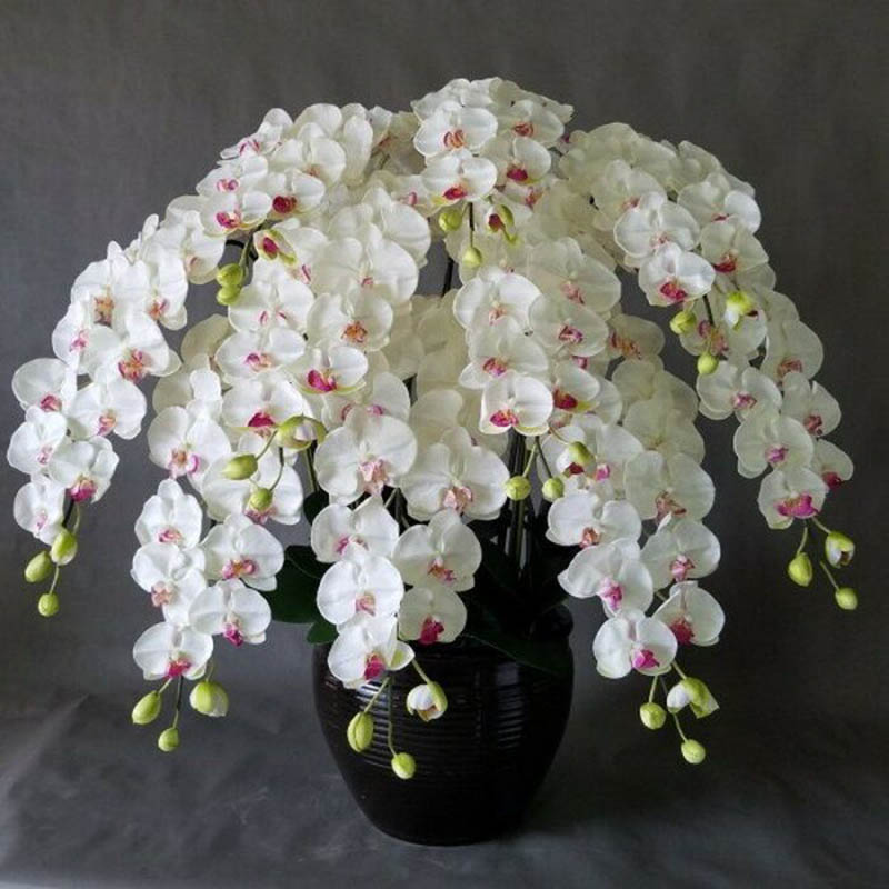 Hoa mừng thọ ông bà