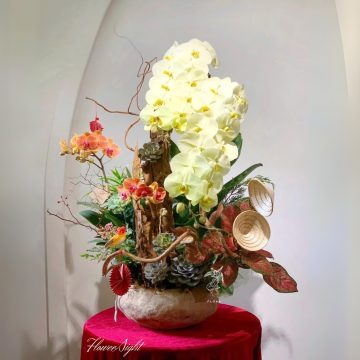 Không Ngừng Vươn Xa