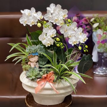 Tinh Khôi ngày mới