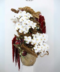 Chậu Lan Hồ Điệp Hạnh Phúc Tròn Đầy