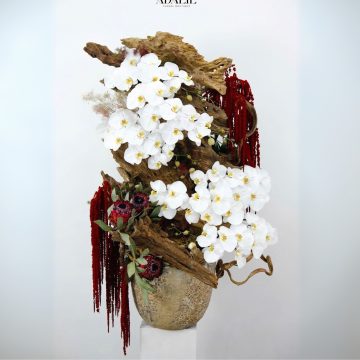 Hạnh phúc tròn đầy