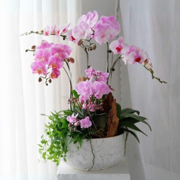 Huyền Diệu