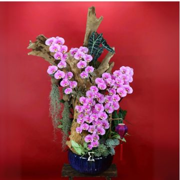 Khúc ca khải hoàn