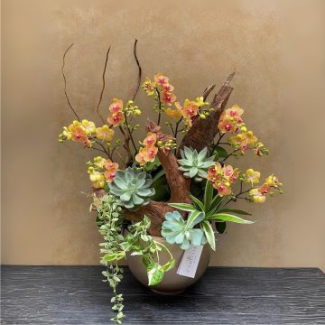 Phát triển bền vững