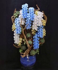 Chậu Lan Hồ Điệp Khai Trương Quý Phượng