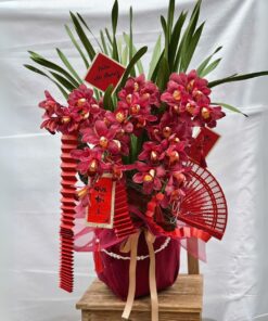 Chậu Lan Hồ Điệp Khai Trương Sang trọng