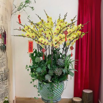 Thuận buồm xuôi gió