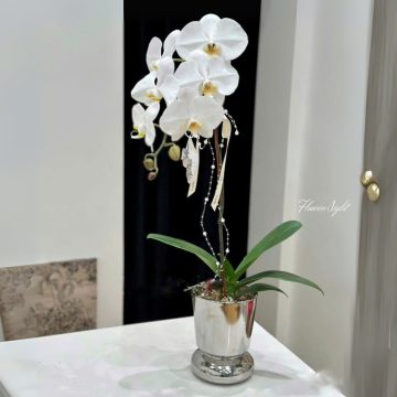 Khai Vận