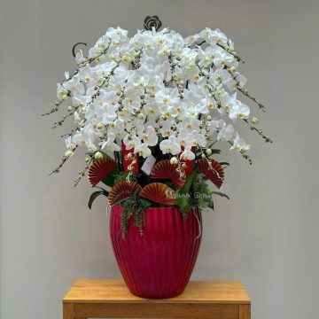 Ngọc Phượng Lan