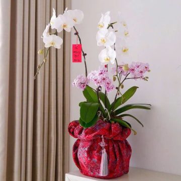 Rừng vàng biển bạc