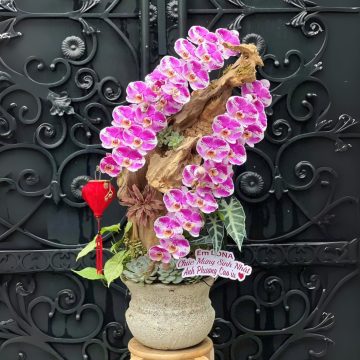 Sắc màu tươi xinh