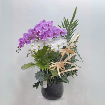 Thành Công Viên Mãn