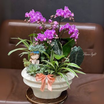 Thiên sứ tình yêu