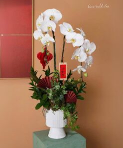 Chậu Lan Hồ Điệp Thịnh Vượng