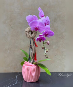 Chậu Lan Hồ Điệp Tím Luxury vase