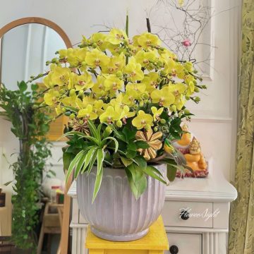 Công Danh Phú Quý