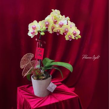 Đại trường phát