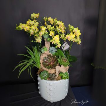 Tài lộc Đại Cát