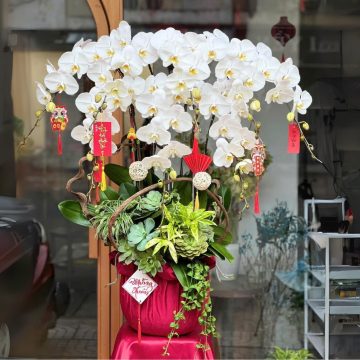 Vươn tới thành công