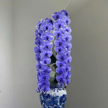 Phú Quý phát tài