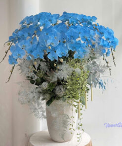 Chậu Lan Hồ Điệp Xanh Dương Vạn Sự An Nhiên