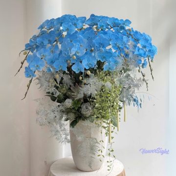 Vạn Sự An Nhiên