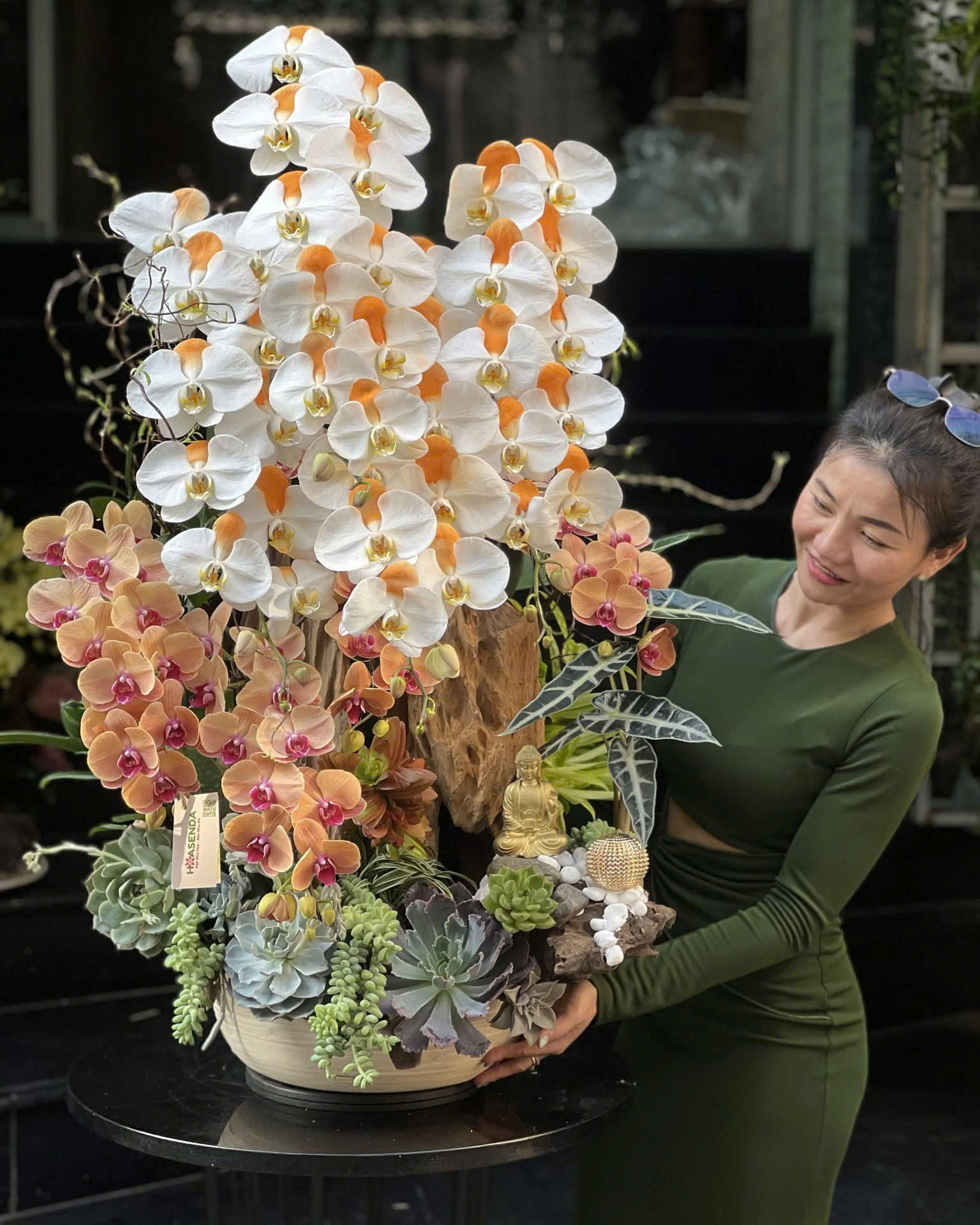 Chậu Lan Hồ Điệp Xinh Yêu