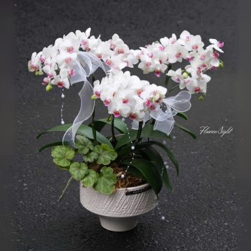 Xúc cảm nhẹ nhàng