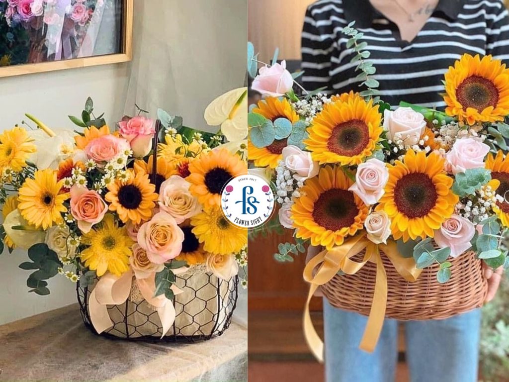 Hoa hướng dương