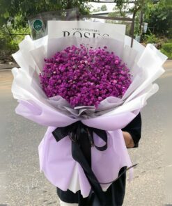 Bó Hoa Sáp Know everything