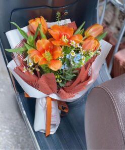 Bó Hoa Tulip Diễm xưa