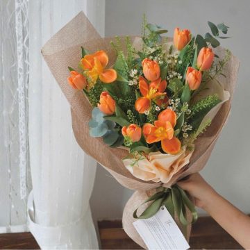 Đường chân trời