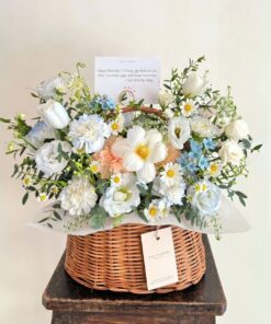 Bó Hoa Tulip Hoa hải đường