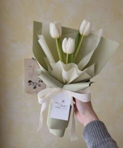 Bó Hoa Tulip Iphigenia